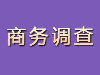 爱民商务调查